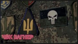 СВО,, музыканты,,