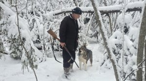 В красивую погоду