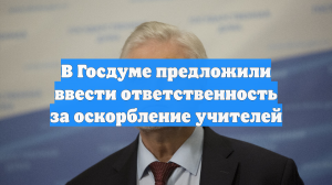 В Госдуме предложили ввести ответственность за оскорбление учителей