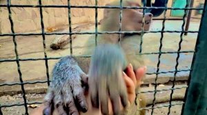 Если Люся действительно ЖДЕТ МАЛЫША, то папа Влад точно заберет ее в дом)))