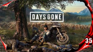 Days Gone прохождение - Не фанат музыки #35