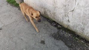 Один из дней города Евпатории | 1 апреля 2021 год  Крым  ХАН БАТОН XAH 6ATOH | VID_20210401_143444