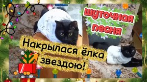 НАКРЫЛАСЯ ЁЛКА ЗВЕЗДОЮ. Шуточная новогодняя песня.