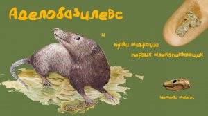 Аделобазилевс и пути миграции первых млекопитающих. Помни о предках