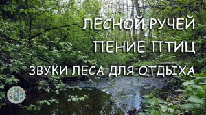 Успокаивающие Звуки Природы Пение Птиц, Шум Воды для релаксации.
