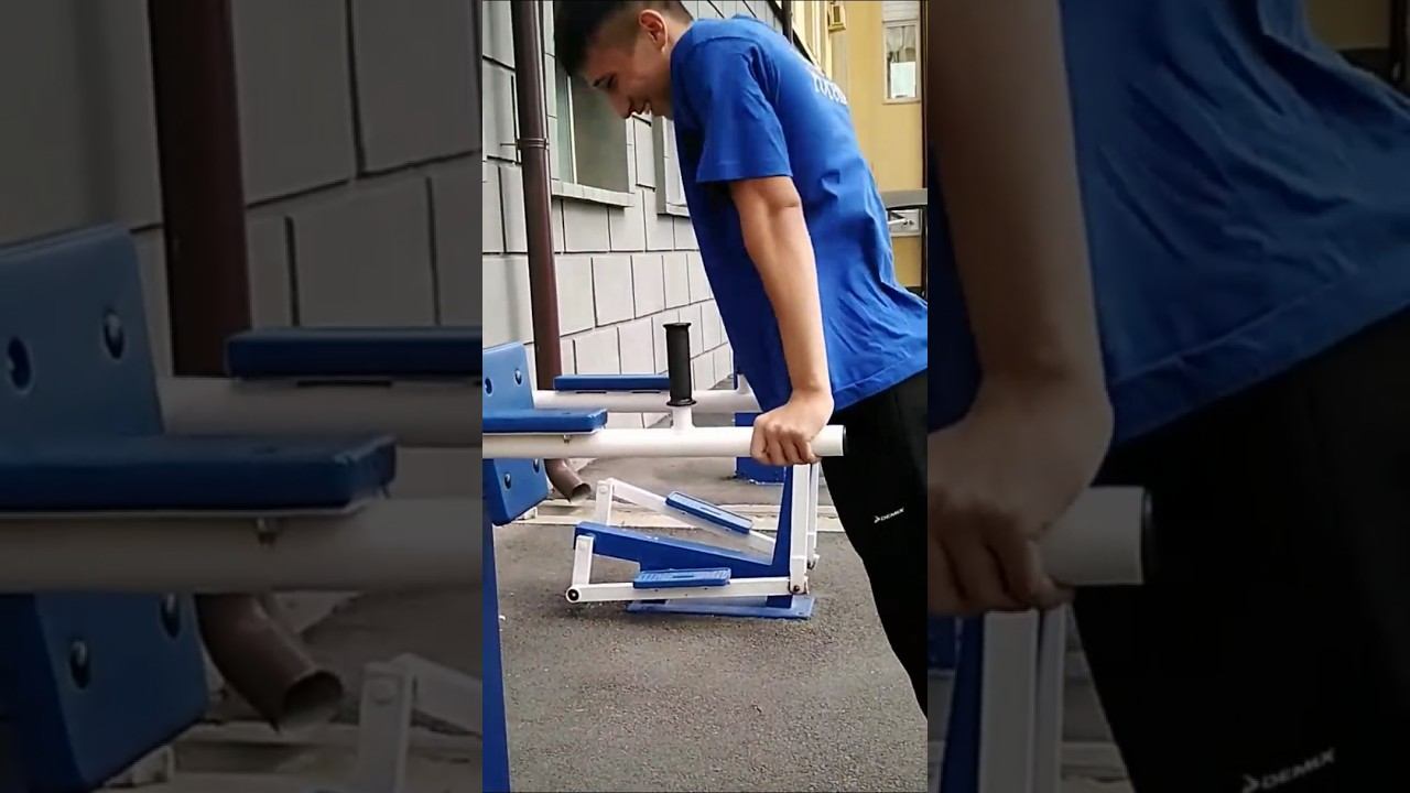 Parallel bar dips смотреть онлайн