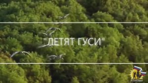 "ЛЕТЯТ ГУСИ" - Премьера песни #70.