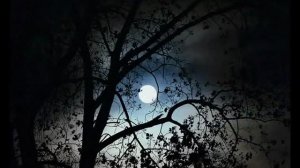 Горит Твой Свет!