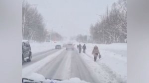 Тонны снега, льда и слякоти на дорогах заблокировали движение городского транспорта на Камчатке