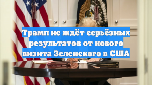 American Thinker: Трамп не ждёт ничего значимого от визита Зеленского