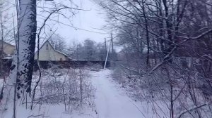 Предновогодние хлопоты на даче.