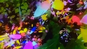 Токио: Аттракцион TeamLab Planets - проверка вашей психики и вестибулярного аппарата