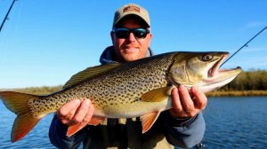 Ловись, рыбка, большая и маленькая… а лучше только большая!