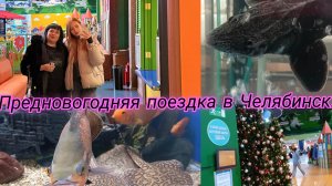 VLOG. Предновогодняя поездка в Челябинск/Гуляем по Ашану///🎄🎄🎄