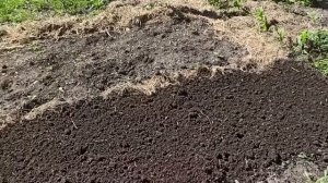 21,22 мая 2025 г.Один день без ветра.