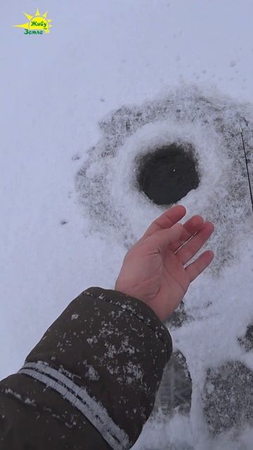 Секрет проводки зимней блесны смотреть онлайн