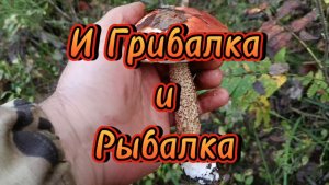И рыбалка. 🎣 и грибалка🍄