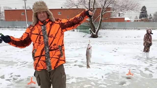 Светлые Горы Форель2 28.12.2025г. смотреть онлайн