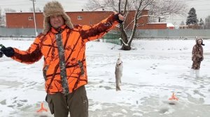 Светлые Горы Форель2 28.12.2025г.