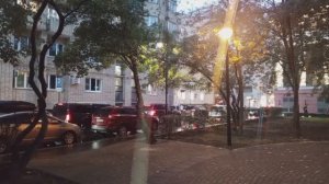 Дождливая осень 2025 (часть 1)