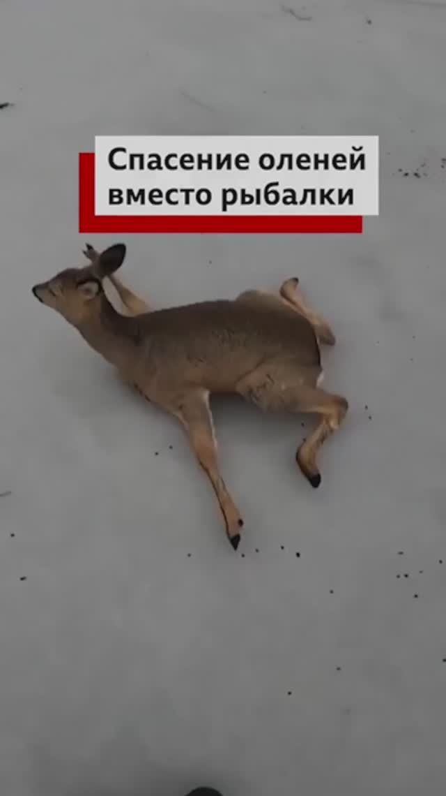 Смотрим видео вместе) смотреть онлайн