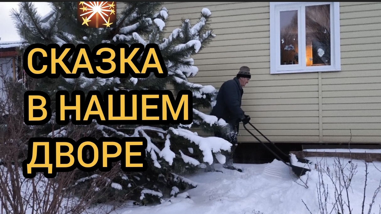 Чистим снег, кормим птиц. Наводим порядок в доме к новому году. 27-28.12.2025 смотреть онлайн