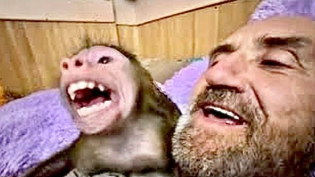 СМЕХ! Этот ж как нужно любить папу Влада, чтобы уснуть, закрыв его собой) смотреть онлайн