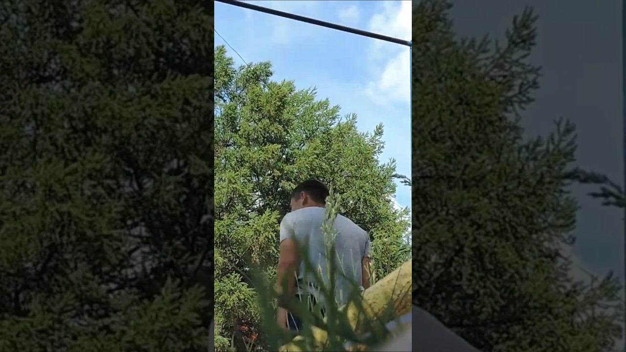 10 non stop pull ups смотреть онлайн