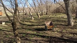 31 января 2025 г.Мой дом. Весь участок привела в порядок.К весне готова)