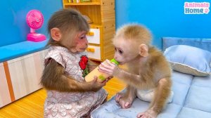 Smart BiBi monkey helps dad cook breakfast for baby Obi_HD