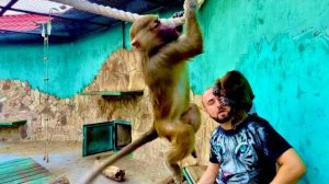 Анфисе мыльные пузыри понравились, а Степа, Маня и Тося не подходят,побаиваются)))