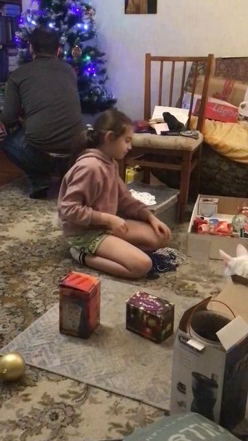 Санкт-Петербург. 28.12.2025. Наряжаем елку. Эпизод 3