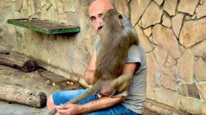 Я НЕ ВЕРЮ Владу!!! Он говорит что Люся ЖДЕТ МАЛЫША!Пытаемся прощупать живот, но она кусается!!!