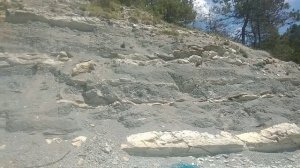 Мотоморе2025