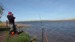 КАРАСИ- МУТАНТЫ АТАКУЮТ! Такого клёва ждали несколько лет! Дикая рыбалка на карася !