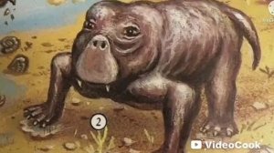 Трытытышка