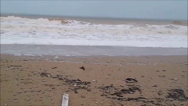 Сводка погоды с пляжа Любимовка-2. Вечерний выпуск 28.12.25г. ШТОРМ. смотреть онлайн