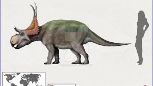 Диаблоцератопс — цератопс, кости которого нельзя было перевозить