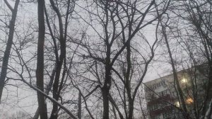 28 декабря  магический прогноз погоды от волшебника