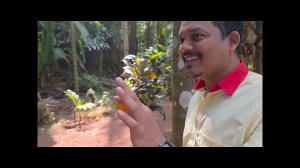 Репортаж о долине специй Марины Колесник в Гоа, Индия. Экспедиция МНШУ