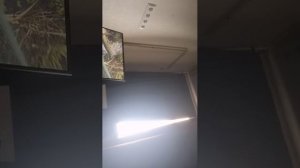 Я бранированый