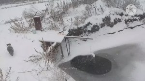 Ура у нас выпал снег ❄️ метёт третий день. У поросят всё хорошо 👍.