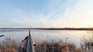 ОХОТА НА УТОК ВЕСНОЙ НА ЧЕЧЕЛАХ. ОТСТРЕЛЯЛИСЬ ОТЛИЧНО. ПРОВЕРКА СЕТЕЙ, СНИМАЕМ УЛОВ С ОЗЕРА.