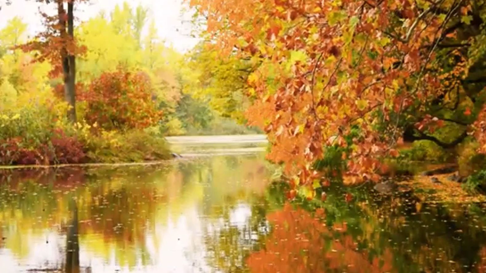 Музыка осени — мелодии, чтобы поднять настроение _ Autumn Music — 40 Minutes of _New