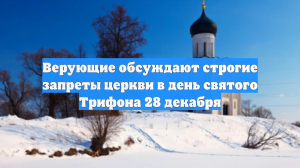 Верующие обсуждают строгие запреты церкви в день святого Трифона 28 декабря