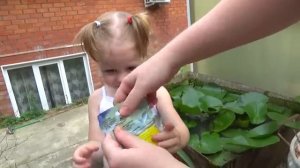 Волшебные очки - ИГРА КВЕСТ от Свинки Пеппы Развлечение для детей