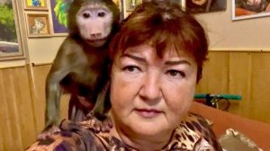 Я в ШОКЕ! Убитым гамадрилам отрезали головы, руки и ноги, чтобы они небыли похожи на людей