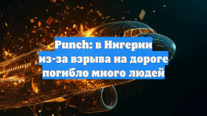 Punch: в Нигерии из-за взрыва на дороге погибло много людей