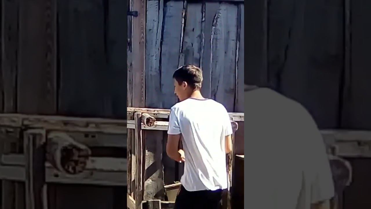 Dips смотреть онлайн