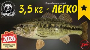 ОКУНЬ БОЛЬШЕРОТЫЙ КАК БЫСТРО ЗАКРЫТЬ? ЗАДАНИЯ НОВЫЙ ГОД - ЛОСИНОЕ ⭐ РУССКАЯ РЫБАЛКА 4 @Z-B-G